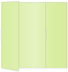Sour Apple Gate Fold Invitation Style B (5 1/4 x 7 3/4)