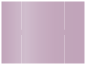 Violet Gate Fold Invitation Style B (5 1/4 x 7 3/4) - 10/Pk