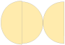 Sunflower Round Gate Fold Invitation Style D (5 3/4 Diameter) - 10/Pk