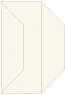 Textured Cream Gate Fold Invitation Style F (3 7/8 x 9) - 10/Pk