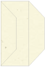 Milkweed Gate Fold Invitation Style F (3 7/8 x 9) - 10/Pk