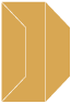 Serengeti Gate Fold Invitation Style F (3 7/8 x 9) - 10/Pk