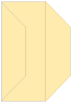 Sunflower Gate Fold Invitation Style F (3 7/8 x 9) - 10/Pk