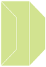 Pistachio Gate Fold Invitation Style F (3 7/8 x 9) - 10/Pk