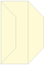 Sugared Lemon Gate Fold Invitation Style F (3 7/8 x 9) - 10/Pk