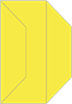 Lemon Drop Gate Fold Invitation Style F (3 7/8 x 9) - 10/Pk