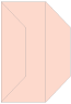Ginger Gate Fold Invitation Style F (3 7/8 x 9) - 10/Pk