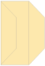 Peach Gate Fold Invitation Style F (3 7/8 x 9) - 10/Pk
