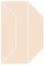 Latte Gate Fold Invitation Style F (3 7/8 x 9) - 10/Pk