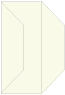 Spring Gate Fold Invitation Style F (3 7/8 x 9) - 10/Pk