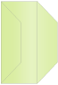 Sour Apple Gate Fold Invitation Style F (3 7/8 x 9) - 10/Pk