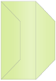 Sour Apple Gate Fold Invitation Style F (3 7/8 x 9)