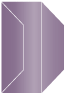 Purple Gate Fold Invitation Style F (3 7/8 x 9) - 10/Pk