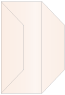 Coral metallic Gate Fold Invitation Style F (3 7/8 x 9) - 10/Pk