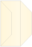 Gold Pearl Gate Fold Invitation Style F (3 7/8 x 9) - 10/Pk