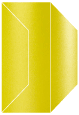 Green Silk Gate Fold Invitation Style F (3 7/8 x 9)