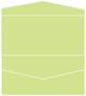 Pistachio Pocket Invitation Style A4 (4 x 9)10/Pk
