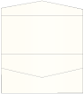 Pearlized Latte Pocket Invitation Style A4 (4 x 9)10/Pk
