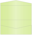 Sour Apple Pocket Invitation Style A4 (4 x 9)