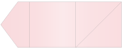 Rose Pocket Invitation Style B6 (6 1/8 x 6 1/8)10/Pk