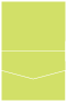 Citrus Green Pocket Invitation Style C1 (4 1/2 x 5 1/2)10/Pk