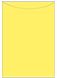 Factory Yellow Jacket Invitation Style A2 (5 1/8 x 7 1/8)10/Pk