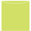 Citrus Green Jacket Invitation Style A3 (5 5/8 x 5 5/8)10/Pk