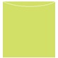Citrus Green Jacket Invitation Style A3 (5 5/8 x 5 5/8)