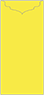 Lemon Drop Jacket Invitation Style C1 (4 x 9) - 10/Pk