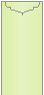 Sour Apple Jacket Invitation Style C1 (4 x 9) - 10/Pk
