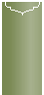 Botanic Jacket Invitation Style C1 (4 x 9) - 10/Pk