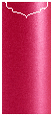 Pink Silk Jacket Invitation Style C1 (4 x 9)