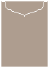 Pyro Brown Jacket Invitation Style C2 (5 1/8 x 7 1/8)