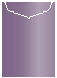 Purple Jacket Invitation Style C2 (5 1/8 x 7 1/8) - 10/Pk