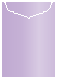 Violet Jacket Invitation Style C2 (5 1/8 x 7 1/8) - 10/Pk