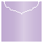 Violet Jacket Invitation Style C3 (5 5/8 x 5 5/8) - 10/Pk