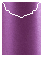 Purple Silk Jacket Invitation Style C4 (3 3/4 x 5 1/8) - 10/Pk