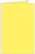 Factory Yellow Landscape Card 2 1/2 x 3 1/2 - 25/Pk