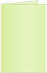 Sour Apple Landscape Card 2 1/2 x 3 1/2 - 25/Pk