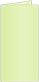 Sour Apple Landscape Card 2 x 4 - 25/Pk