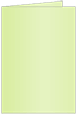 Sour Apple Landscape Card 3 1/2 x 5 - 25/Pk