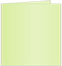 Sour Apple Landscape Card 4 3/4 x 4 3/4 - 25/Pk