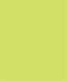 Citrus Green 7 1/8 x 7 3/8 Liner (for 7 1/2 x 7 1/2 envelopes)- 25/Pk