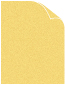 Translucent<br>Gold<br>8 <small>1/2</small> x 11
