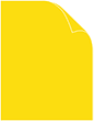 Solar Yellow Astrobright Cover - 65 lb - 8 1/2 x 11 - 25/Pk
