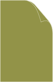 Olive Matte Cover 11 x 17 - 25/Pk