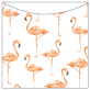 Flamingo Jacket Invitation Style A3 (5 5/8 x 5 5/8)