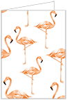 Flamingo Landscape Card 3 1/2 x 5 - 25/Pk