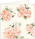 Peony Peach Landscape Card 5 3/4 x 5 3/4 - 25/Pk