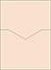 Latte Pocket Card 5 1/4 x 7 1/4 - 10/Pk